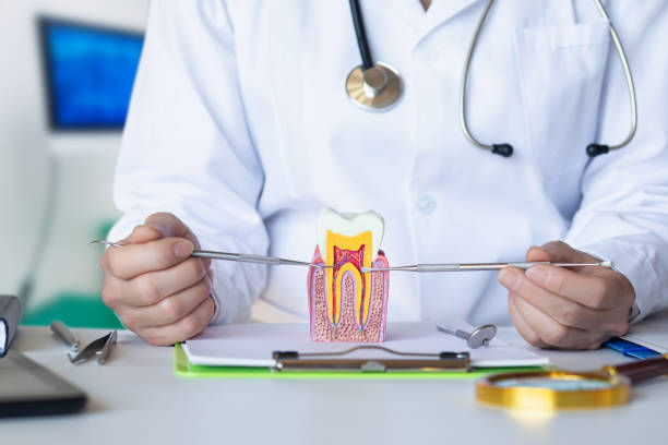 Emergency Dentist for Kids in ME
